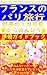 France no Paris Ryokou Keikaku no Ikkagetsumae kara Nonbiri Jyunbi Guide Book (Japanese Edition)