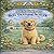 Jack Goes to Dog Training School: The Adventures of Jack the Goldendoodle