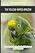 The Yellow-Naped Amazon: A Complete Guide to Care, Exceptional Vocal Ability & Seasonal Behavior Management