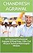 NZ Chartered Professional Engineer (CPEng) Prep: 1100+ Civil MCQs & Technical Math-English Medium (Chandresh Agrawal International Exam Prep)