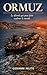 ORMUZ: Le détroit qui peut faire exploser le monde — Iran, Pasdaran, Khamenei, tankers du Golfe, blocus pétrolier, géopolitique de l'énergie (French Edition)