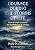 Courage During the Storms of Life, Even Through the Storm, the Breakthrough is Coming