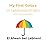 My First Colors in Lebanese Arabic: With Transliteration (My First Lebanese Arabic Library)