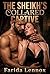 The Sheikh's Collared Captive: A Sheikh Captive Collar Possession Erotica