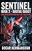 Digital Ghost: A Techno-Thriller (SENTINEL Book 2)