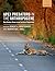 Apex Predators in the Anthropocene: How Humans Shape Large Carnivore Populations