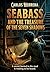Seabass and the Treasure of the Seven Shadows.