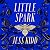 Little Spark