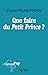 Que faire du Petit Prince ? by David Muhlmann