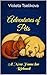 Adventures of Pets: A New Home for Richard (Stories of Kindness for Children Book 2)
