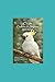C is for Cockatoo & Scripture Daily Journal