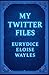 My Twitter Files