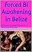 Forced Bi Awakening in Belize : A Hotwife Cuckold Turns into a Desperate Sissy Slut