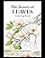 The Beauty of Leaves - Coloring Book
