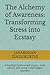 The Alchemy of Awareness: Transforming Stress into Ecstasy: A Practical Guide to Self-Inquiry, Inner Silence, and Living in the Present Moment