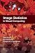 Image Statistics in Visual Computing