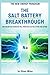 The Salt Battery Breakthrough: How Sodium-Ion Technology Will Power Our Electric Future and Beyond (The New Energy Paradigm)