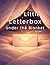 The Little Letterbox Under the Blanket: A Quiet Night for Sending Your Feelings