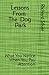 Lessons from the Dog Park: What You Notice When You Pay Attention