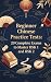 Beginner Chinese Practice T...
