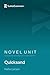 Novel Unit: Quicksand by Nella Larsen (SuperSummary)