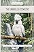 The Umbrella Cockatoo: A Complete Guide to Care, Separation Anxiety & Life with the "Velcro Bird"