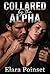 Collared by the Alpha: A Spicy Collared Omega Alpha Ownership Erotica