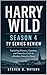 Harry Wild Season 4 TV Series Review: Exploring Mystery, Emotion, and Narrative Craft in a Modern Detective Story