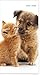 2027-2028 Buddies (Bilingual French) Pocket Planner (English and French Edition)