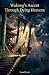 Wukong's Ascent Through Dying Heavens