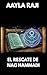 EL RESCATE DE NAG HAMMADI (Spanish Edition)