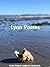 Lynn Poems