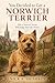 You Decided to Get a Norwich Terrier: How a Norwich Terrier Will Judge Your Life Choices (The Dog You Chose Book 169)