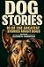 Dog Story: 10 of the Greatest Stories About Dogs