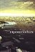Frankenstein (Vintage Classics)