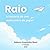 Raio: A história de um aviãozinho de papel (Portuguese Edition)