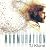 Murmuration