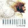 Murmuration