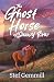 The Ghost Horse of Snowy River by Stef Gemmill The Ghost Horse of Snowy River by Stef Gemmill