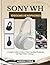 sony wh 1000xm6 headphones: A Complete Guide to Modern Noise‑Cancelling Headphones and High‑Fidelity Listening”