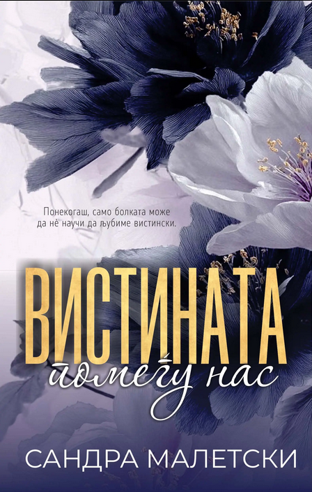Вистината помеѓу нас (Paperback)