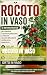 Rocoto in vaso : Il metodo ...