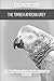 The Timneh African Grey: A Complete Guide to Care, Early Speech Development & the Calmer African Grey