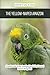 The Yellow-Naped Amazon: A Complete Guide to Care, Exceptional Vocal Ability & Seasonal Behavior Management