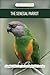 The Senegal Parrot: A Complete Guide to Care, One-Person Loyalty & Bite Prevention
