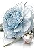 Flowers, Black & White Drawings