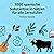 1000 spanische Substantive in Sätzen für alle Lernstufen (German Edition)
