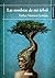Las sombras de mi árbol (Spanish Edition)