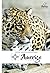 Central American Wildlife: Amerigo Travel
