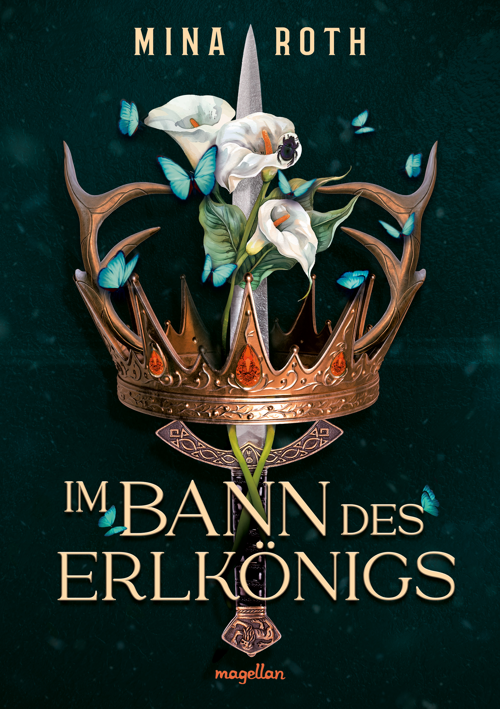 Im Bann des Erlkönigs (Umbra Academy, #1)